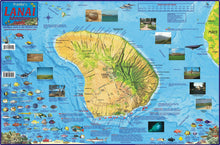 Load image into Gallery viewer, Franko Adventure Guide Map

