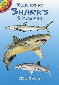 Little Activity Books Realistic Shark Stickers by Jan Sovak
