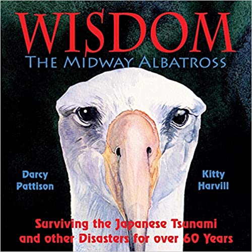 Wisdom, The Midway Albatross: Surviving the Japanese Tsunami and other Disasters for over 60 Years by Darcy Pattison