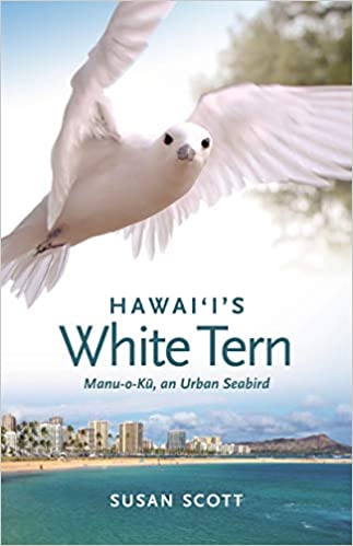 Hawai‘i’s White Tern: Manu-o-Kū, an Urban Seabird by Susan Scott